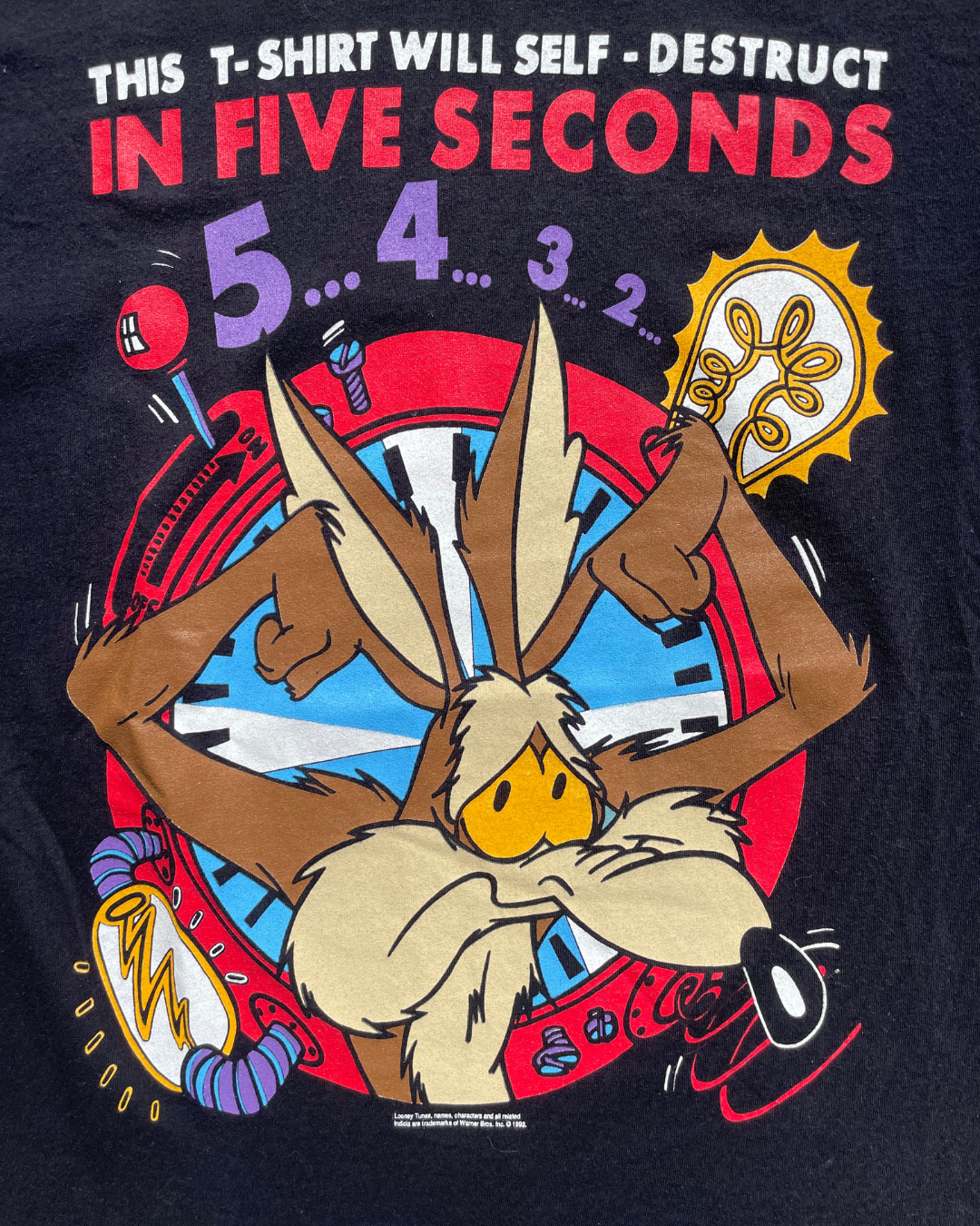 1992s Looney Tunes Tee